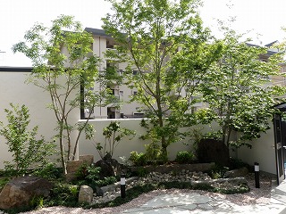 庭木一本から対応し、アフターメンテナンスもしっかり対応