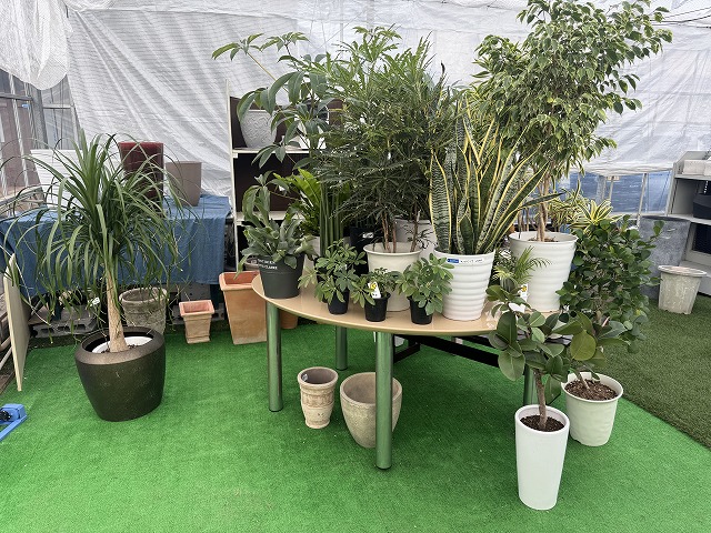 お花の無人販売