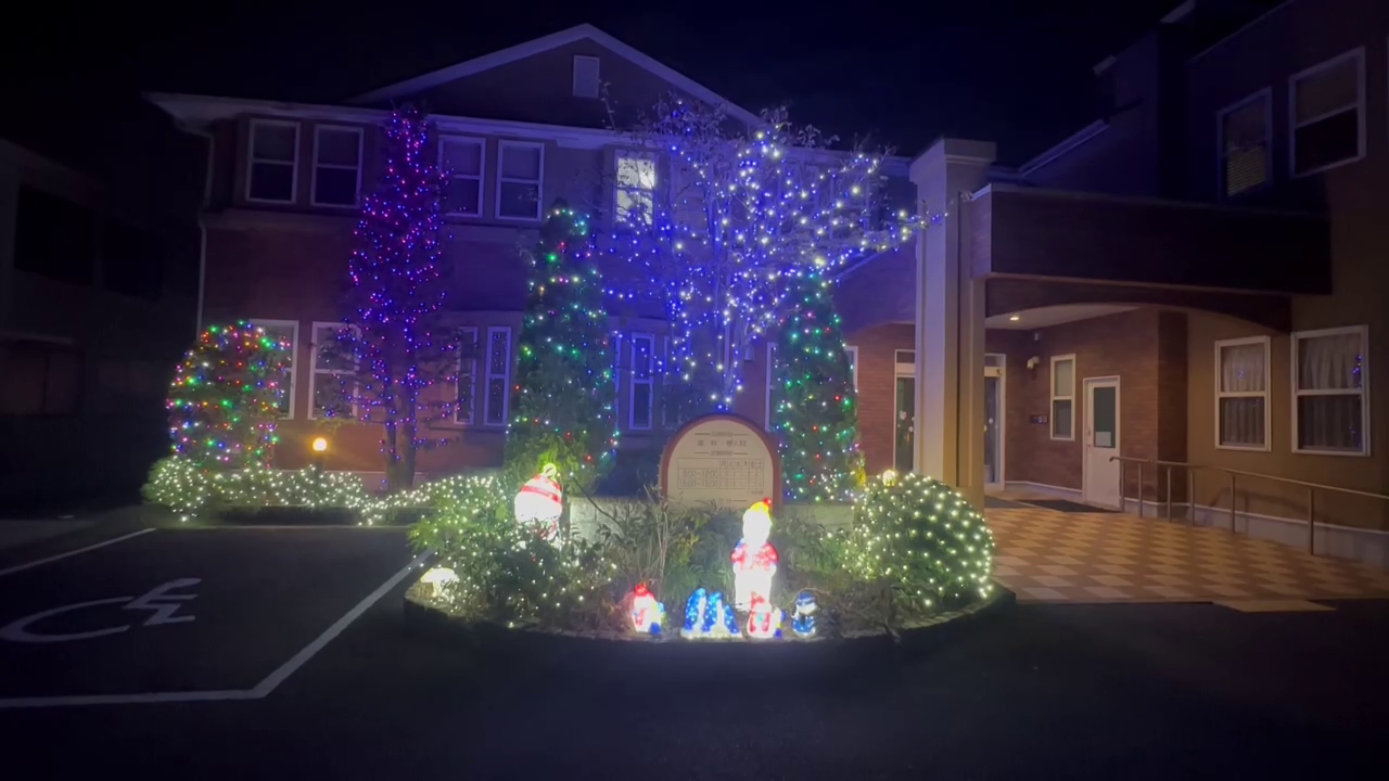 植栽イルミネーション